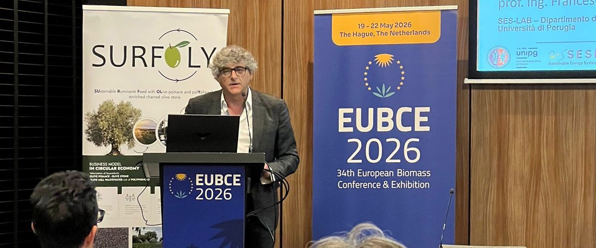 SURFOLY showcases circular solutions for olive by-products in The Hague