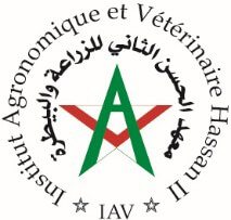 IAV Logo